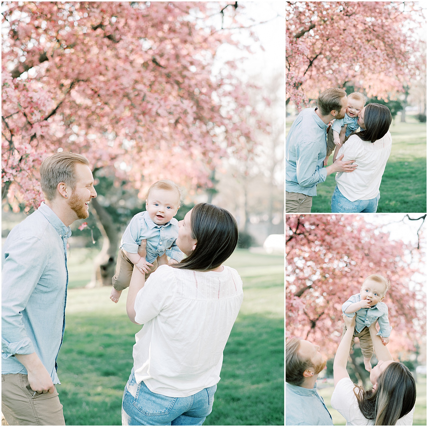 family under blossom tree in the spring for portraits of newborn baby boy