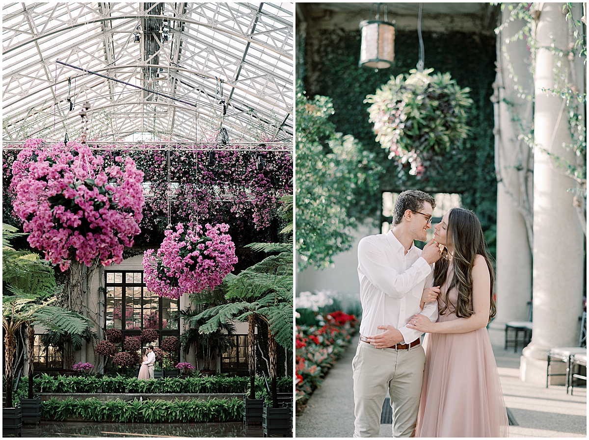 man holding fiancé with flowers blooming in the green house by Addie Eshelman
