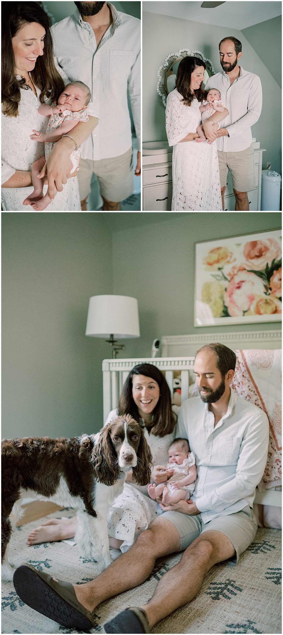 family dog in session with mom and dad holding newborn baby girl 