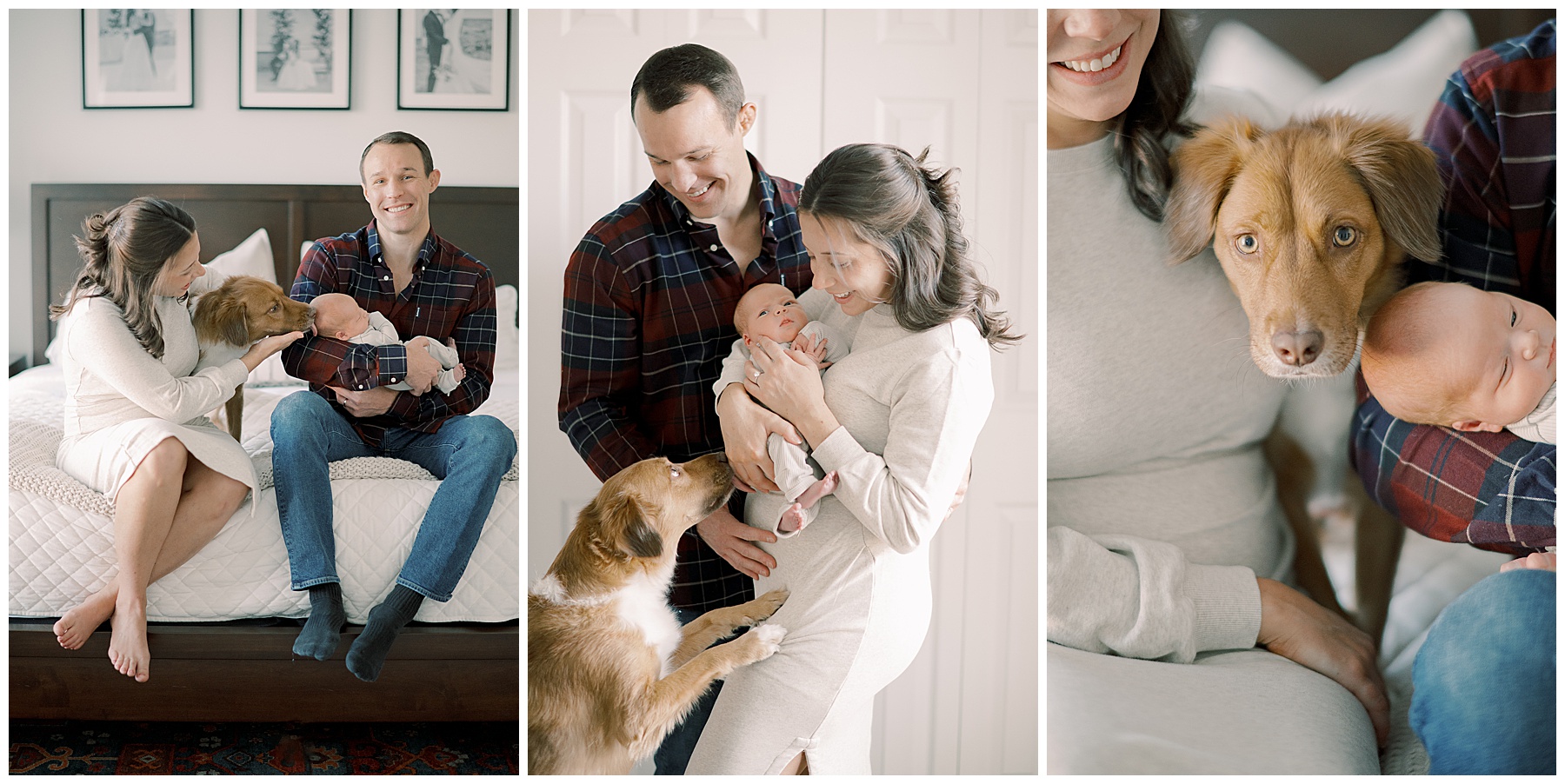  maryland newborn photographer, pennsylvania newborn photographer, mechanicsburg newborn photographer, carlisle newborn photographer, carlisle newborn photos, studio newborn, in home newborn session, lifestyle newborn photos, december baby, lancaster newborn photographer, harrisburg newborn photographer, carlisle family photos, carlisle family photographer, harrisburg fresh 48, gettysburg family photographer, baltimore newborn photographer
